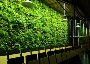 Green wall lighting in schools