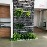 SST Rock Wall LED light