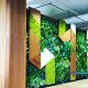 EnviroZone Design Completes Another Amazing Greenwall using Sunlite’s Fixtures