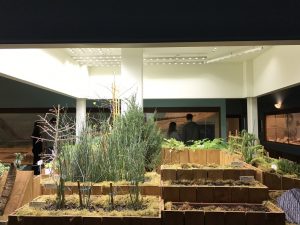 KU Natual History Mesuem Paleo Garden Exhibit with Sunlite ST30 -6