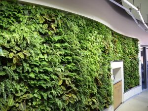 Arch Nexus Green Wall